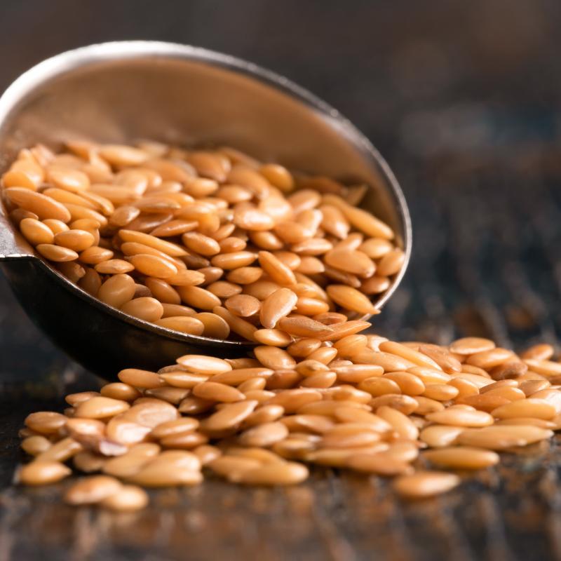 Golden Leinsamen Protein Bio -400g